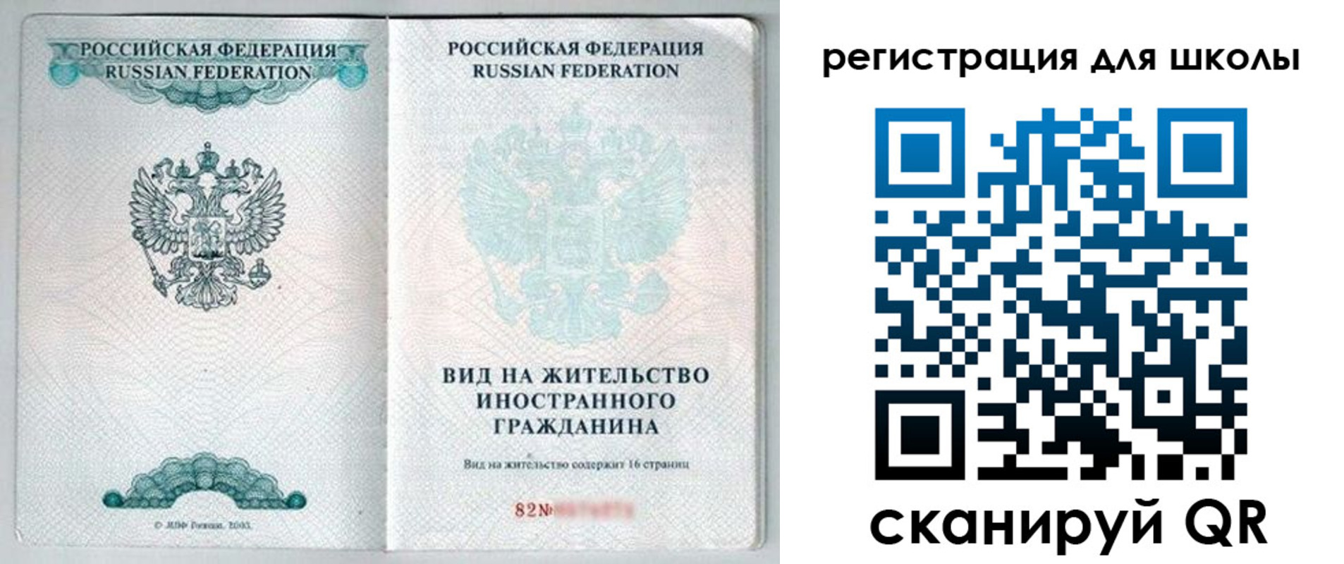 прописка гарантия в Александрове